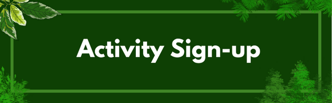 BeOut Activity Signup