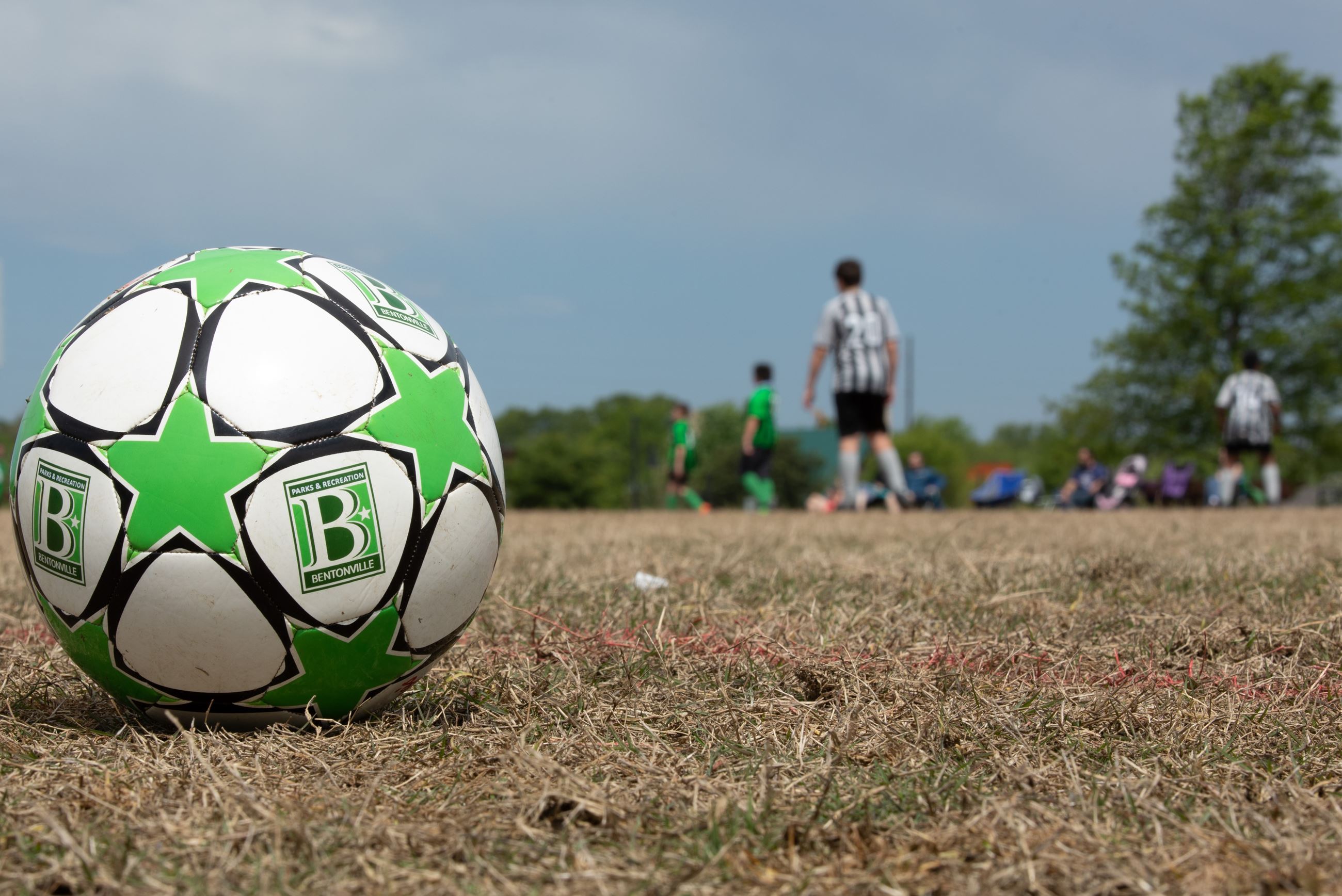 Soccer Website Pic 1