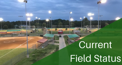 Current Field Status