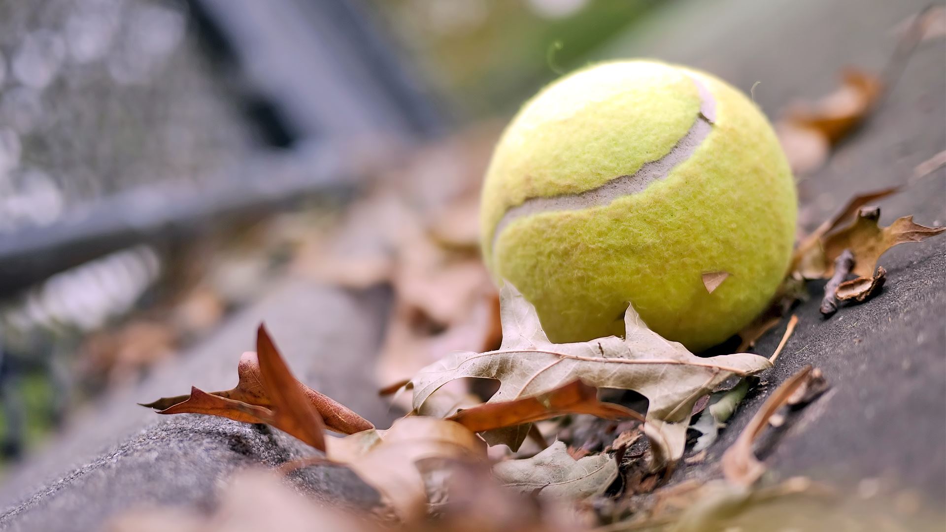 Fall Tennis 2