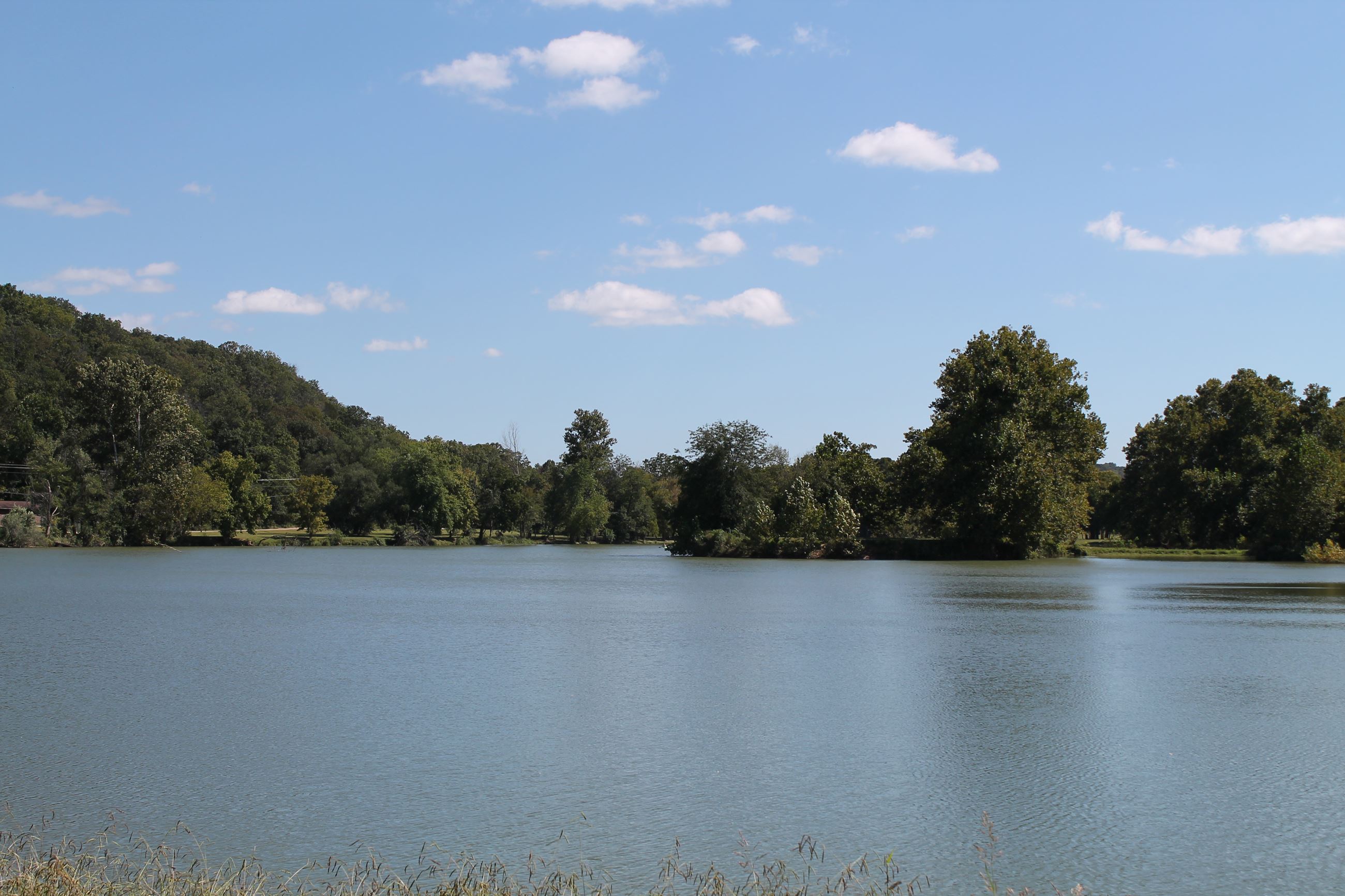 Bella Vista Lake Park Image of Lake surrounded by forest