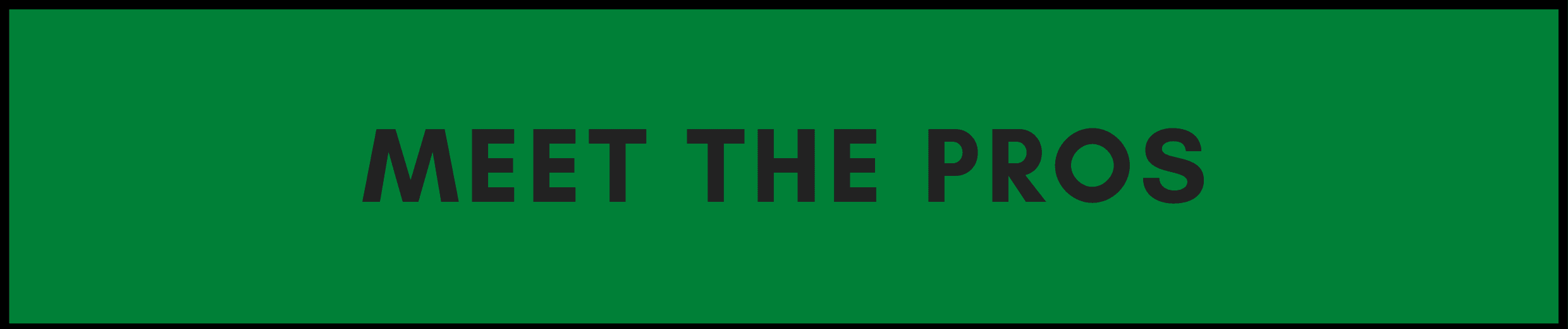 Meet the Pros