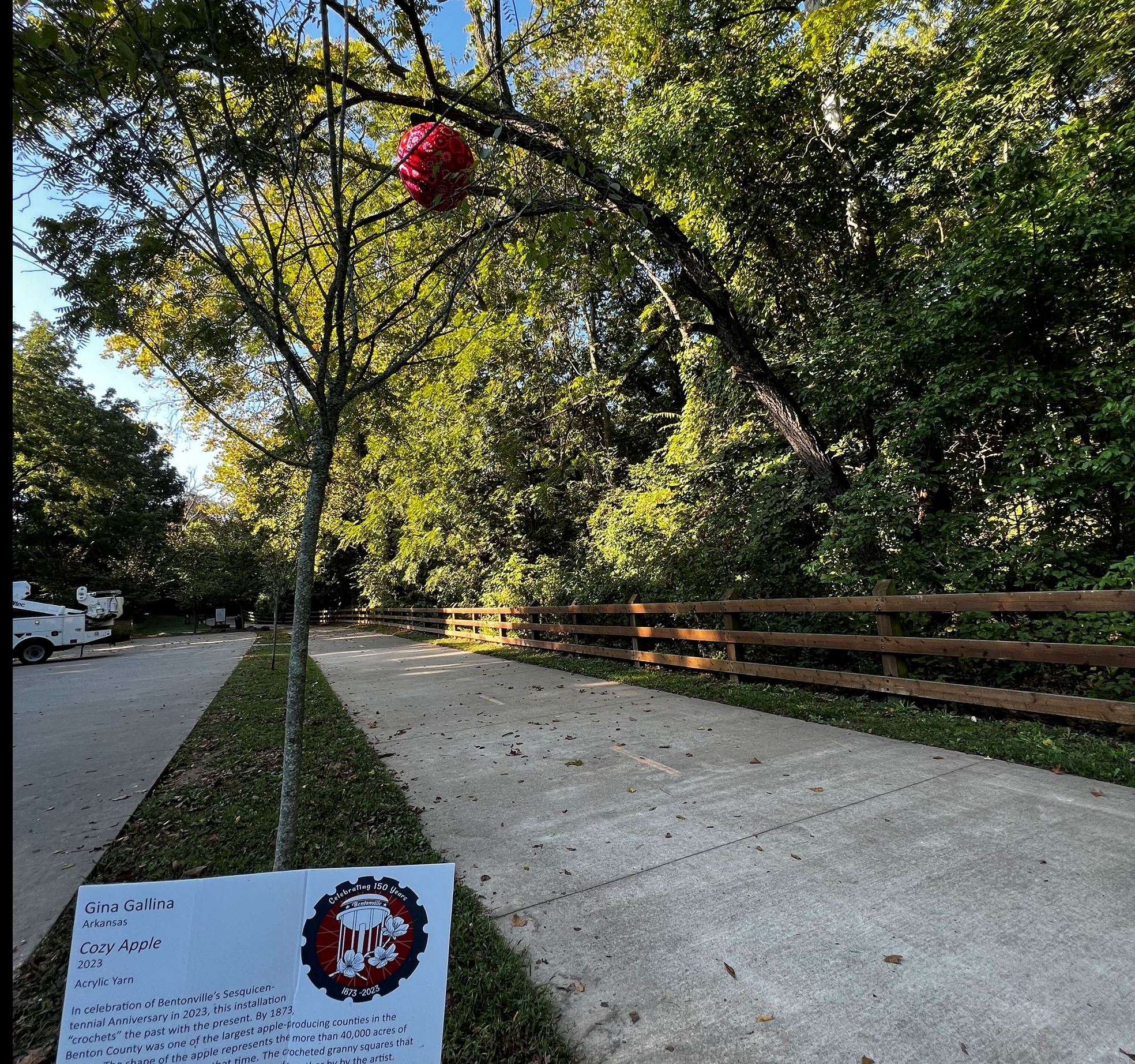 Selected Image for Website