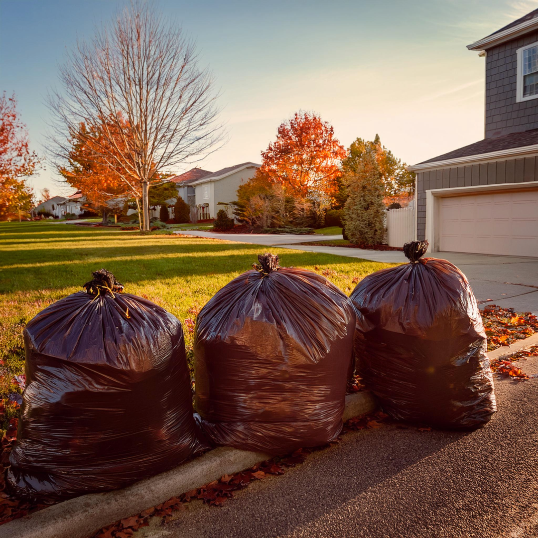 Annual Fall Leaf Cleanup