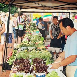 Farmers Market web image