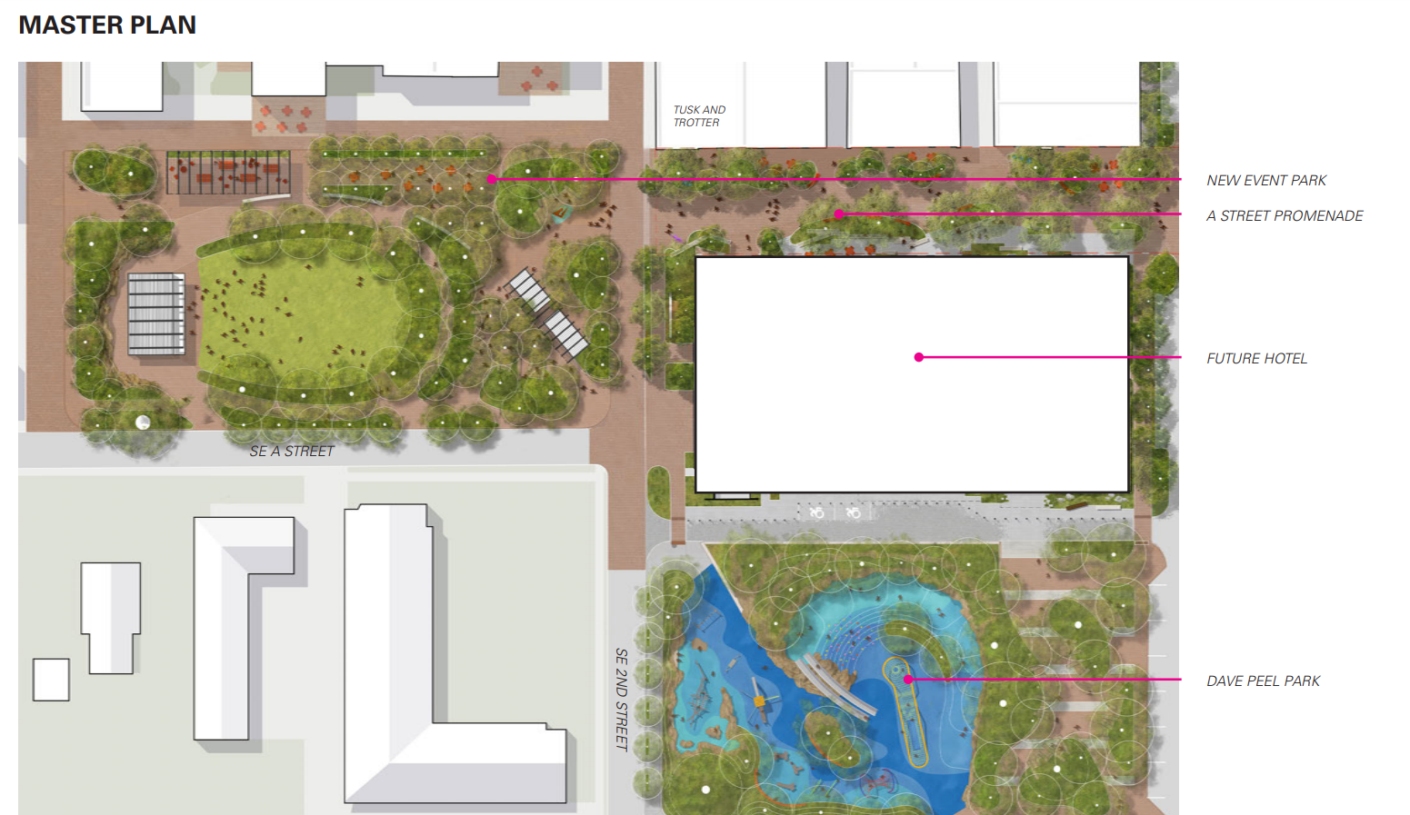 Capture - Master Plan DPP